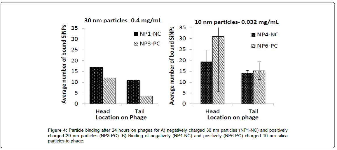 biosensors-journal-Particle-binding-negatively-charged