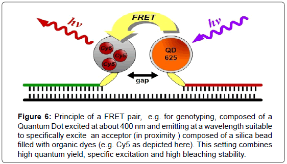 biosensors-journal-Principle-FRET-pair