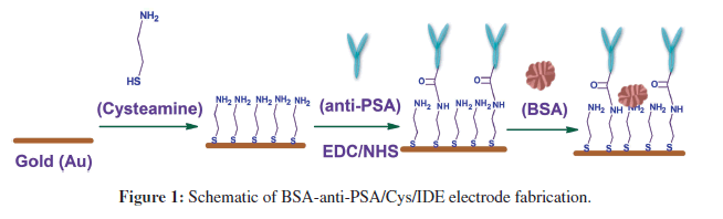 biosensors-journal-Schematic-anti-electrode-fabrication