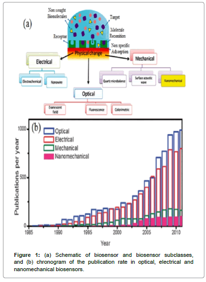 biosensors-journal-Schematic-biosensor-subclasses-chronogram