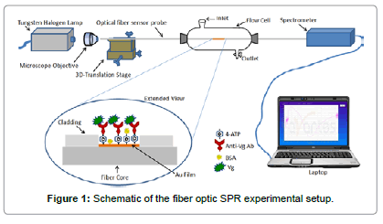 biosensors-journal-Schematic-fiber-optic-experimental