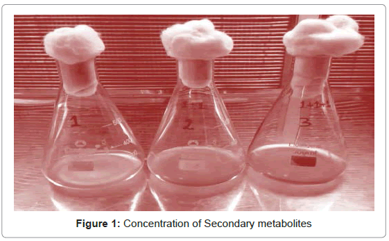 biosensors-journal-Secondary-metabolites