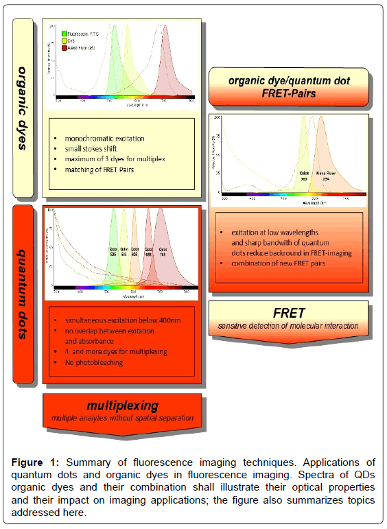 biosensors-journal-Summary-fluorescence-imaging-techniques