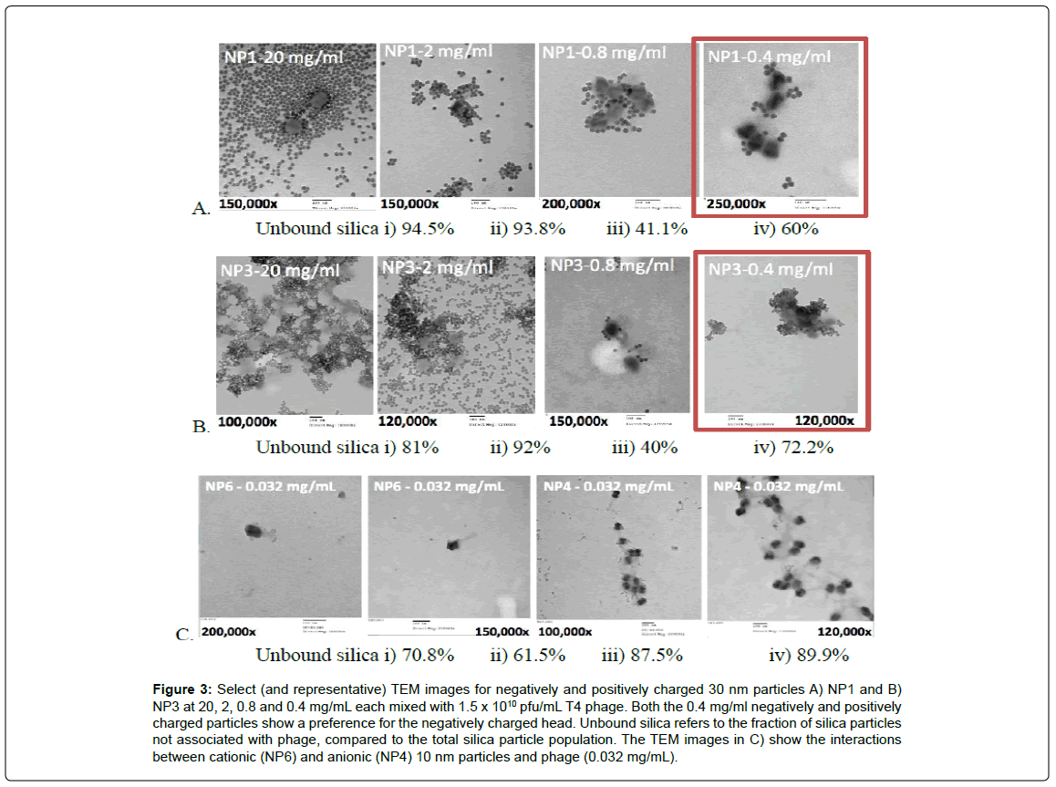 biosensors-journal-TEM-images-negatively