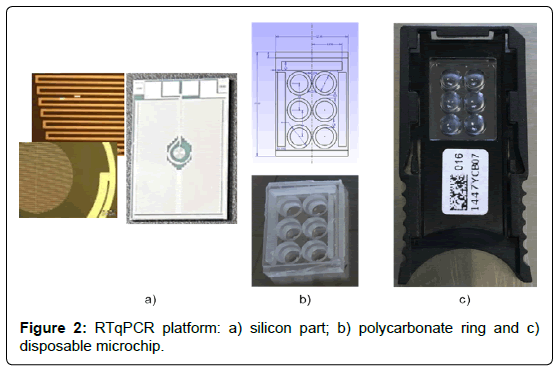 biosensors-journal-disposable microchip-5-136-g002