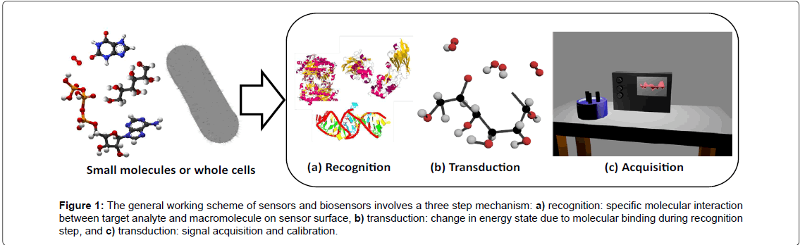 biosensors-journal-general-working-sensors