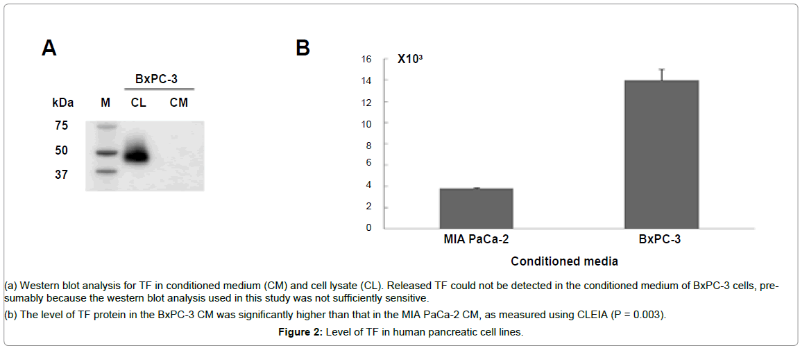 biosensors-journal-human-pancreatic