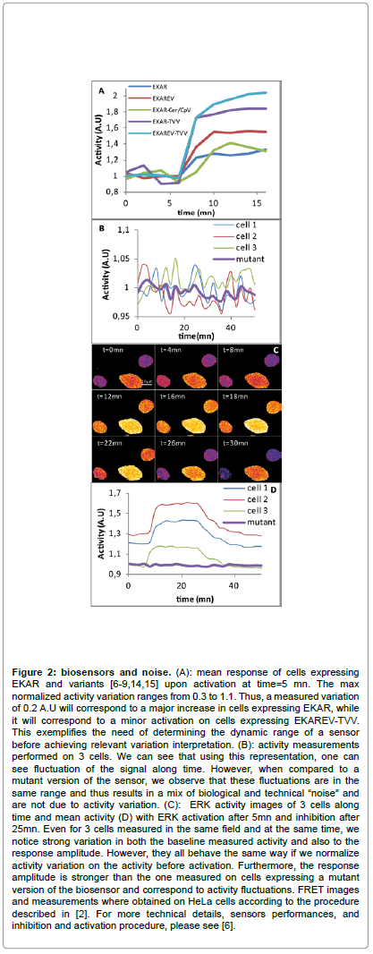 biosensors-journal-mean-response-cells-expressing