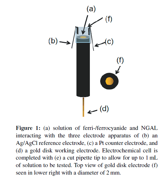 biosensors-journal-solution-ferri-ferrocyanide