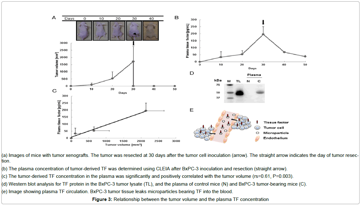biosensors-journal-tumor-volume