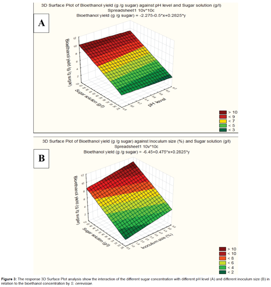 biotechnology-biomaterials-3D-surface