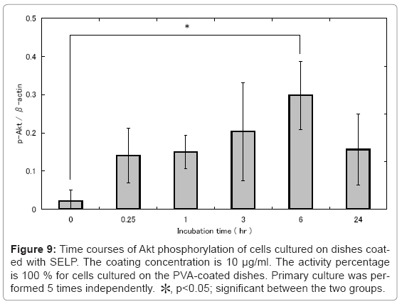 biotechnology-biomaterials-Akt-phosphorylation
