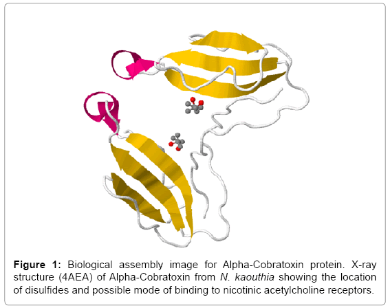 biotechnology-biomaterials-Alpha-Cobratoxin