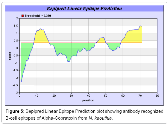 biotechnology-biomaterials-Bepipred-Linear