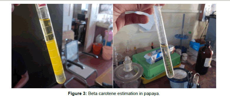biotechnology-biomaterials-Beta-carotene