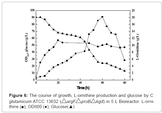 biotechnology-biomaterials-Bioreactor