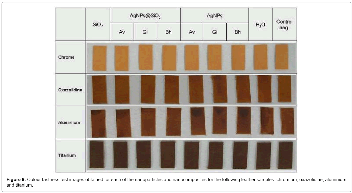 biotechnology-biomaterials-Colour-fastness