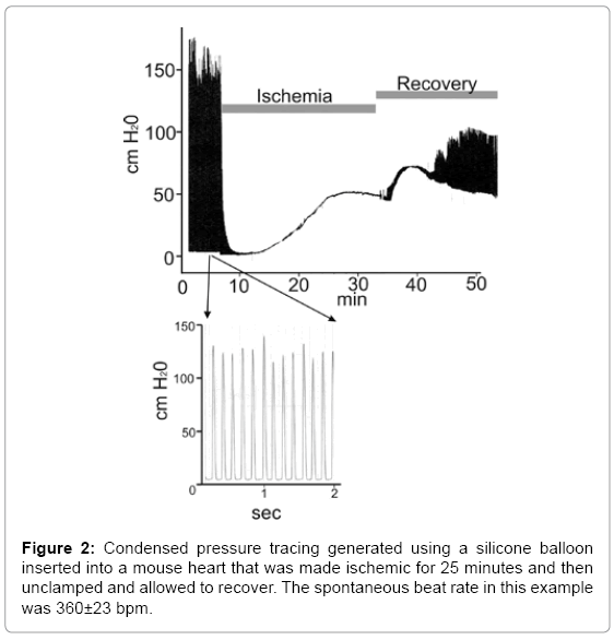 biotechnology-biomaterials-Condensed-pressure