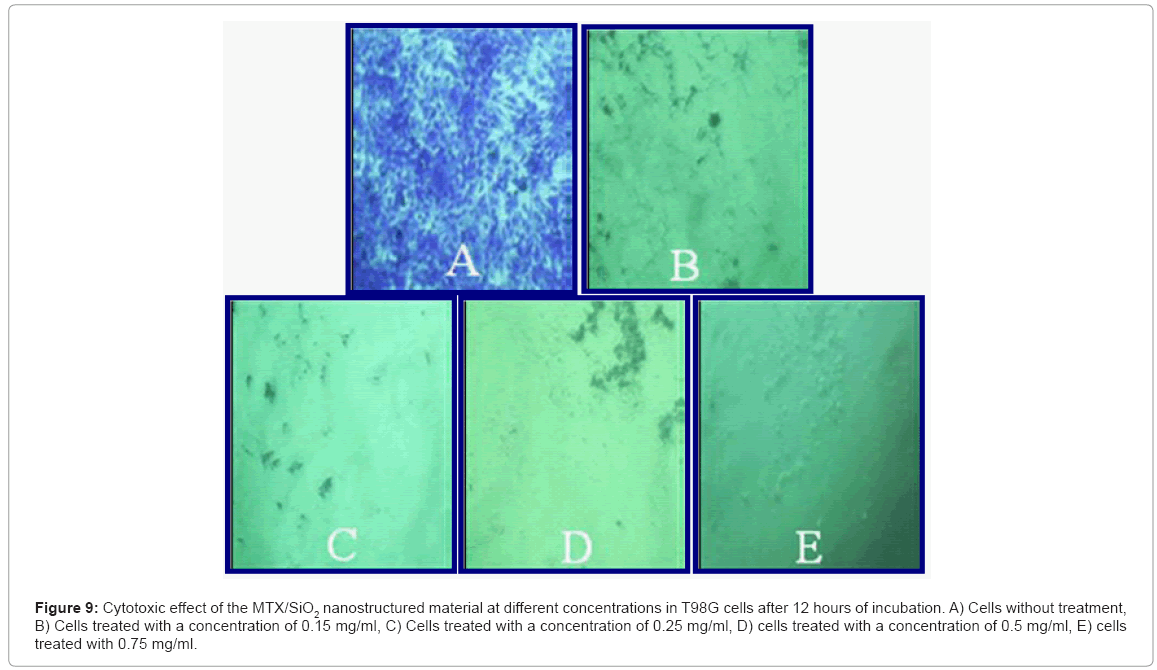 biotechnology-biomaterials-Cytotoxic-effect