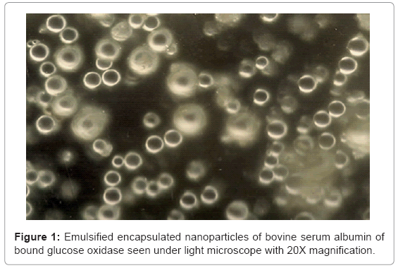 biotechnology-biomaterials-Emulsified-encapsulated