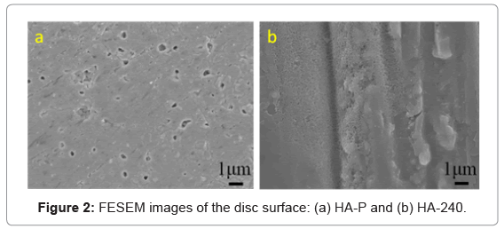 biotechnology-biomaterials-FESEM-images