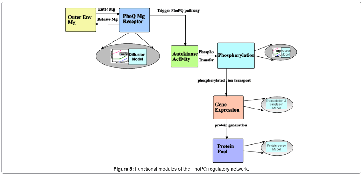biotechnology-biomaterials-Functional-modules