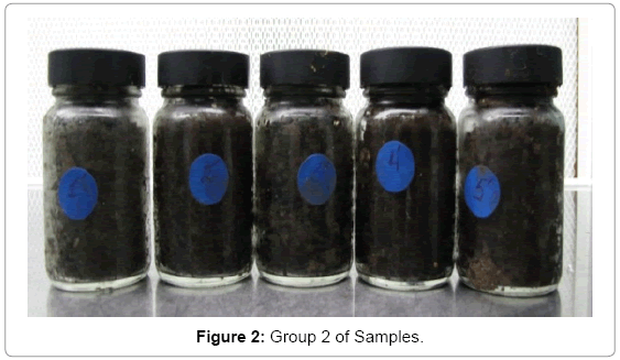 biotechnology-biomaterials-Group-2