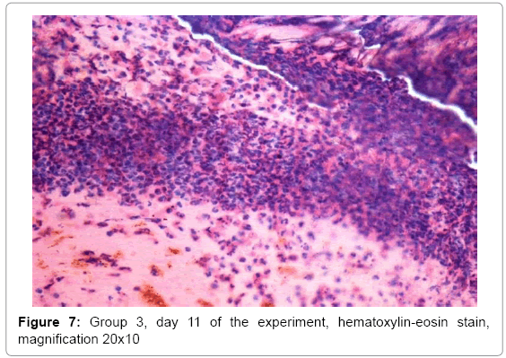 biotechnology-biomaterials-Group-3-day-11