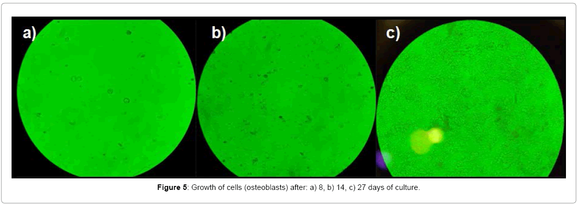 biotechnology-biomaterials-Growth-cells