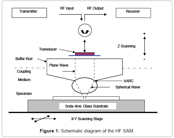 biotechnology-biomaterials-HF-SAM