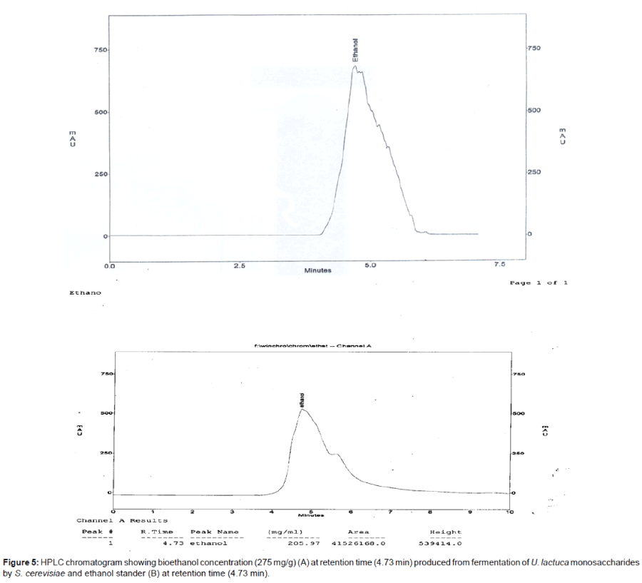 biotechnology-biomaterials-HPLC-chromatogram