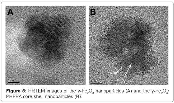 biotechnology-biomaterials-HRTEM-images