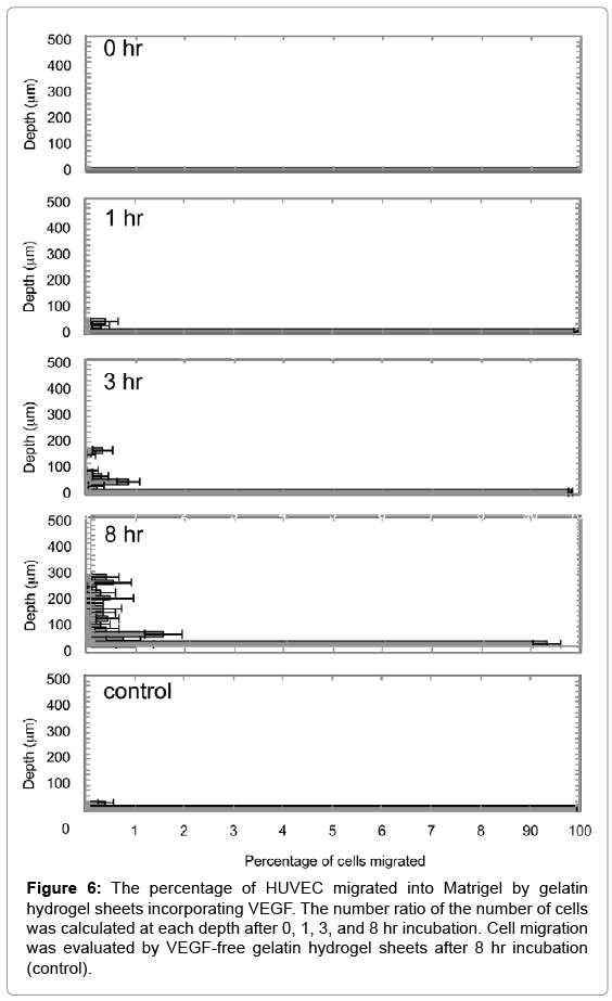 biotechnology-biomaterials-HUVEC-migrated