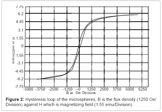 biotechnology-biomaterials-Hysteresis-loop