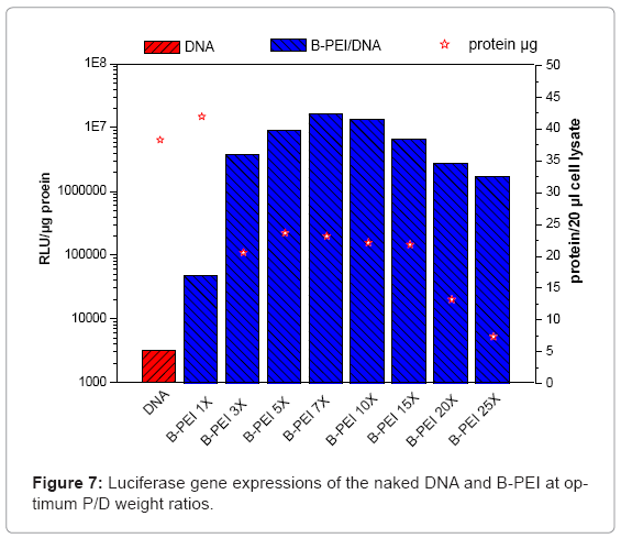 biotechnology-biomaterials-Luciferase-gene