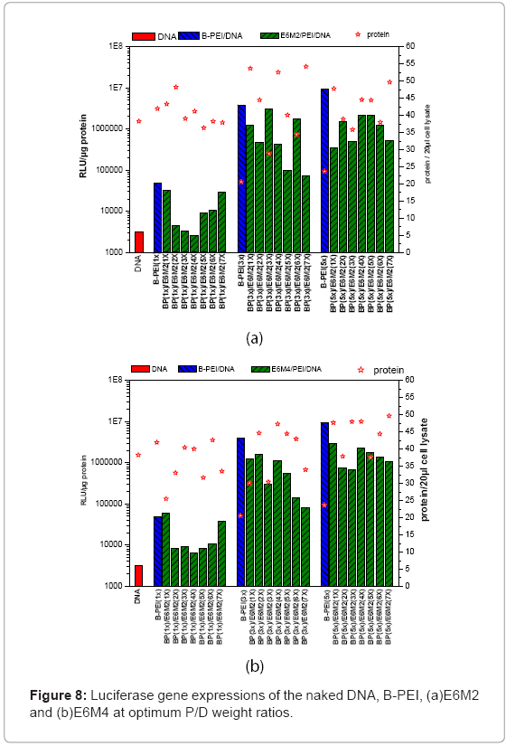 biotechnology-biomaterials-Luciferase-gene