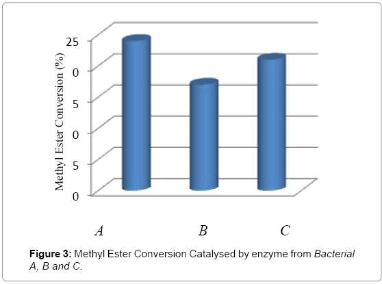 biotechnology-biomaterials-Methyl-Ester
