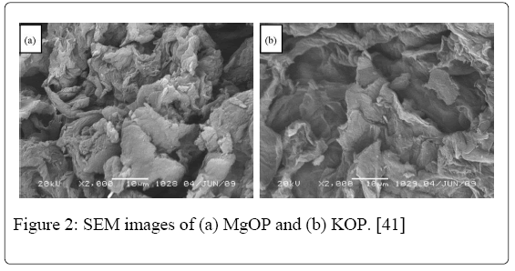 biotechnology-biomaterials-MgOP