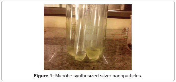 biotechnology-biomaterials-Microbe-synthesized