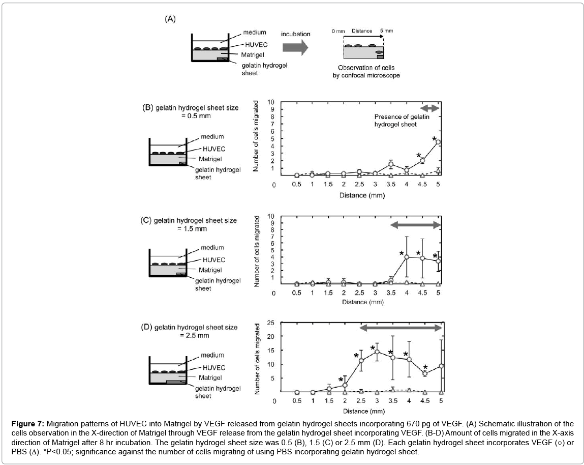 biotechnology-biomaterials-Migration-patterns