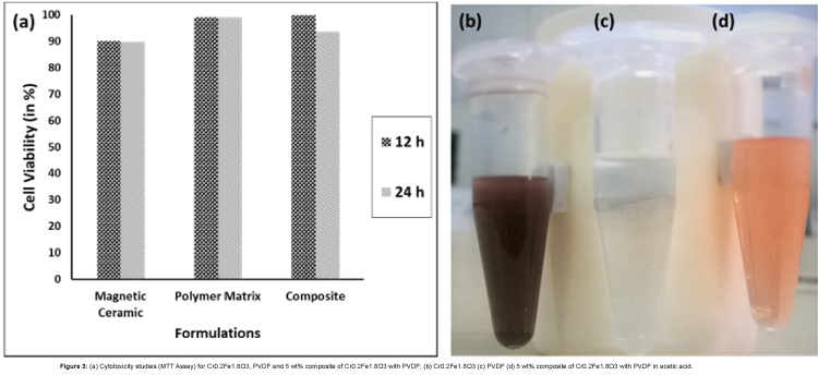 biotechnology-biomaterials-Model-liver