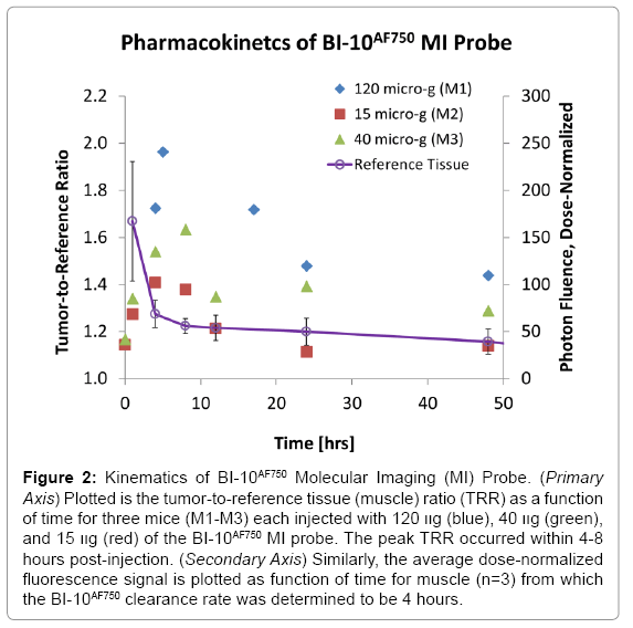 biotechnology-biomaterials-Molecular-Imaging