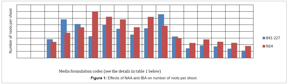 biotechnology-biomaterials-NAA-IBA