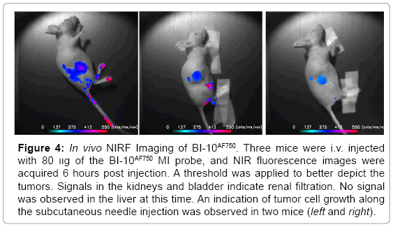 biotechnology-biomaterials-NIRF-Imaging