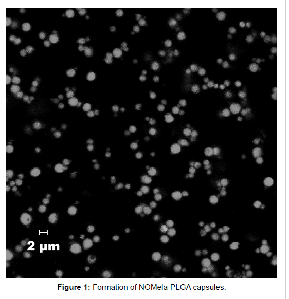 biotechnology-biomaterials-NOMela-PLGA