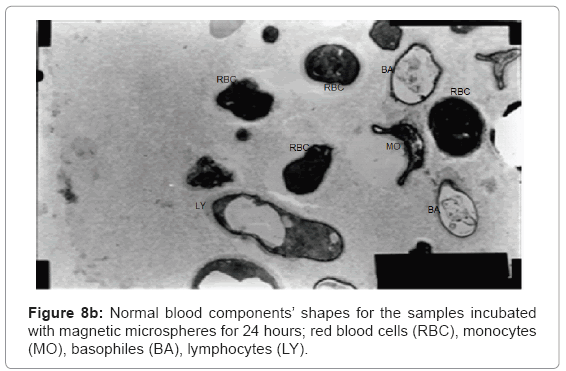 biotechnology-biomaterials-Normal-blood