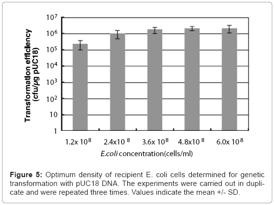 biotechnology-biomaterials-Optimum-density