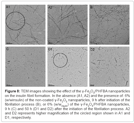 biotechnology-biomaterials-PHFBA-nanoparticles
