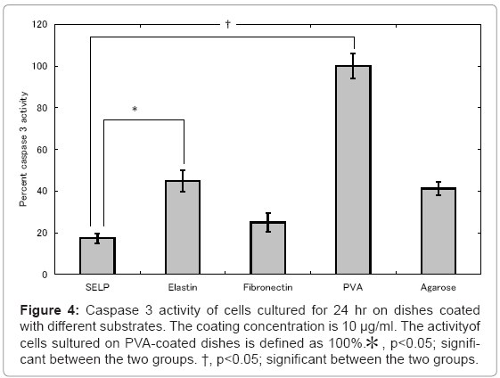 biotechnology-biomaterials-PVA-coated