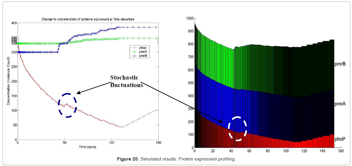 biotechnology-biomaterials-Protein-expression